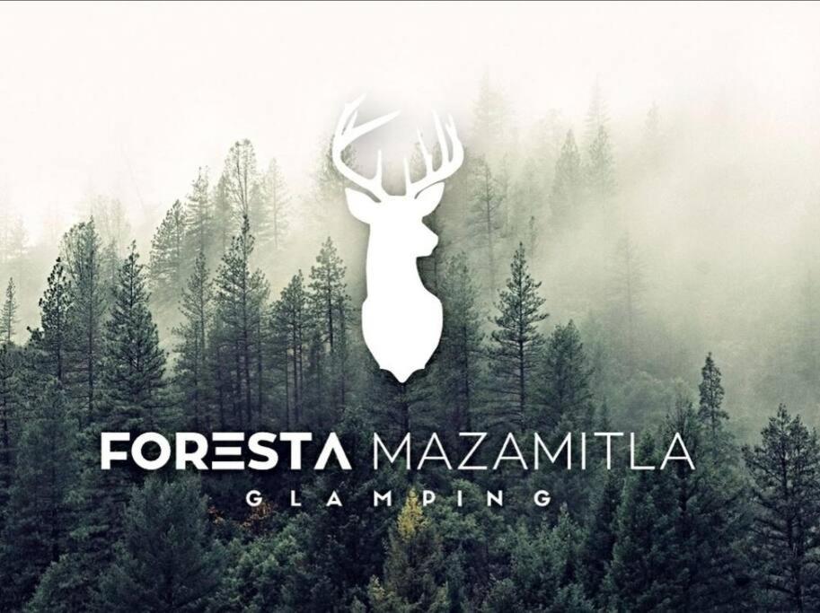 Encanto Natural 2 Mazamitla Zewnętrze zdjęcie